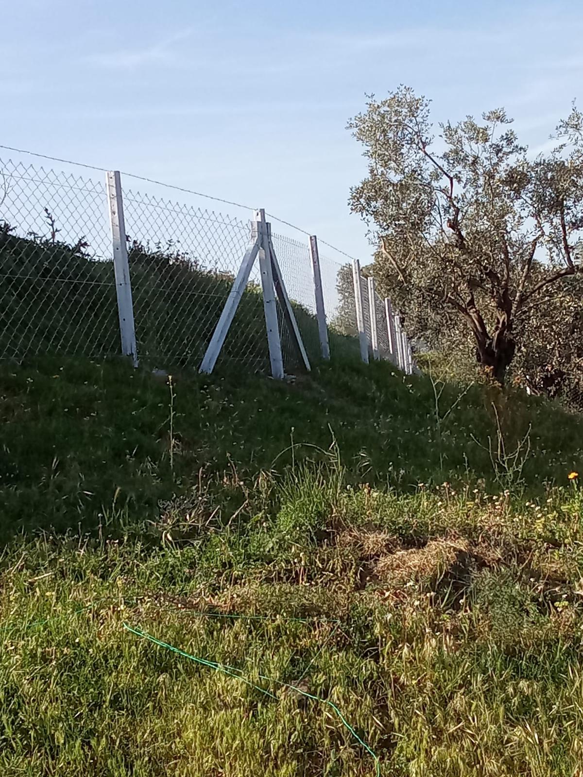 Tel Çit Örgü Projesi